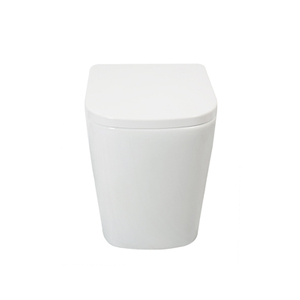Rimless Wall Mount Toilet Concealed Tank Wear Resistance